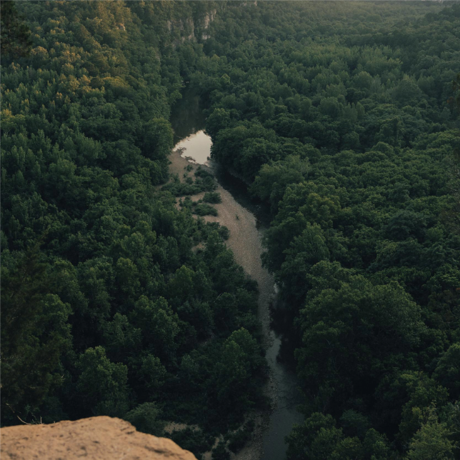 Buffalo River